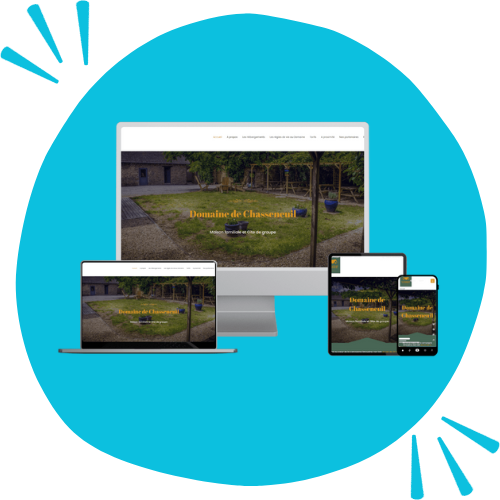 Site web domaine de Chasseneuil